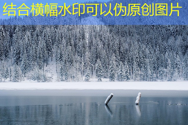 melhor jogos cassino bet365