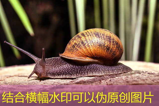 jogos de cassino quais jogos de cassino quais