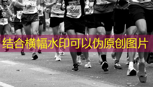 jogo do guaxinim cassino