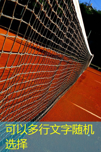 jogo do guaxinim cassino