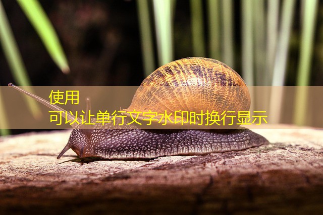 é o cassino jogo da galera