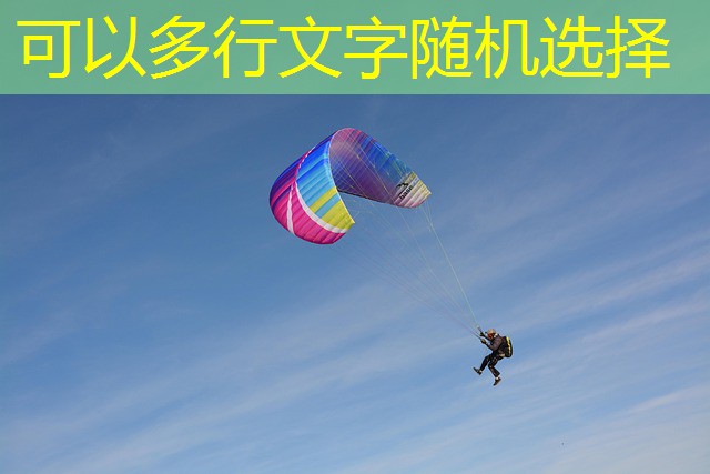 jogo de cassino do coelho