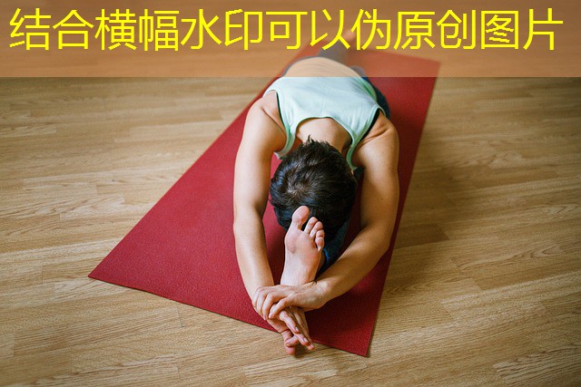 jogo do touro cassino