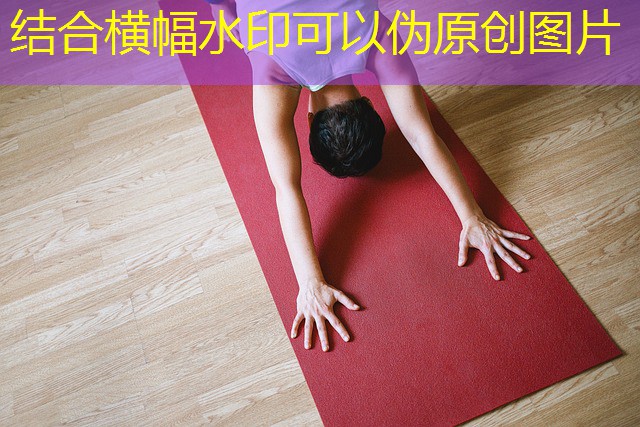 festa cassino a vida e um jogo festa cassino a vida e um jogo