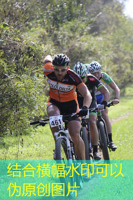 jogos do cassino do sportingbet e seguro