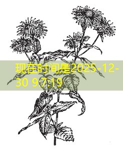 como nao ser expulso do cassino