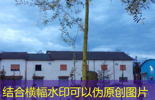 a casa caiu um cassino filmow