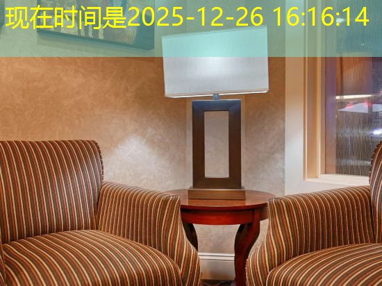 a casa caiu cassino na vizinhança download