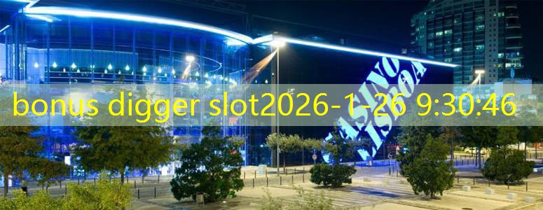 bonus digger slot
