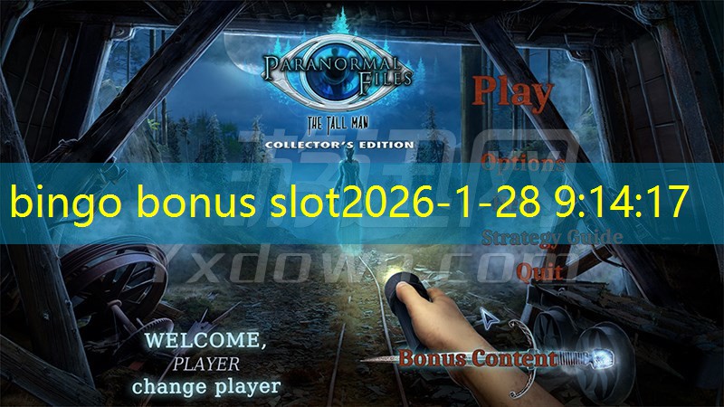 bingo bonus slot bingo bonus slot