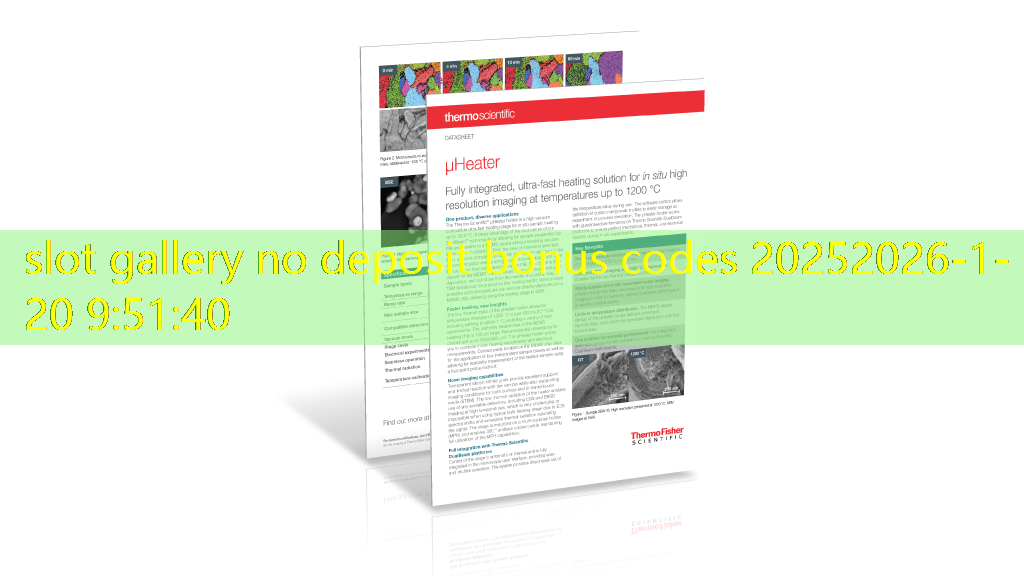 slot gallery no deposit bonus codes 2025