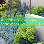 slots villa casino no deposit bonus codes slots villa casino no deposit bonus codes