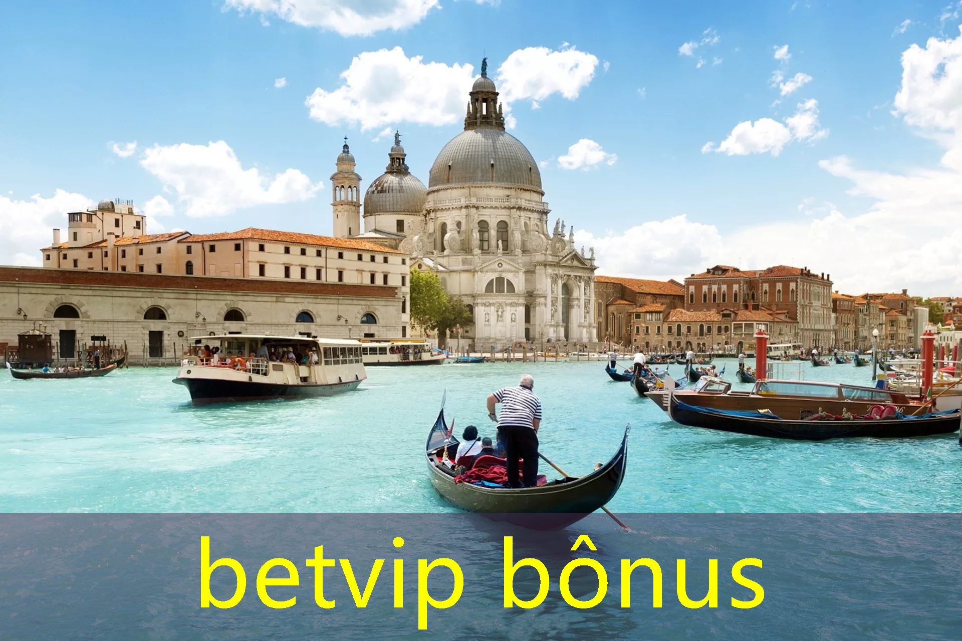 betvip bônus