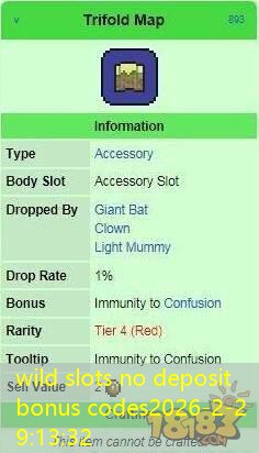 wild slots no deposit bonus codes