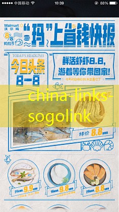 china-links-sogolink